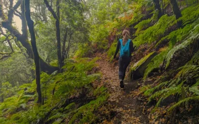 Tenerife: Un paraíso para el senderismo