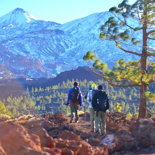 Grupos - Tenerife Hiking Tours