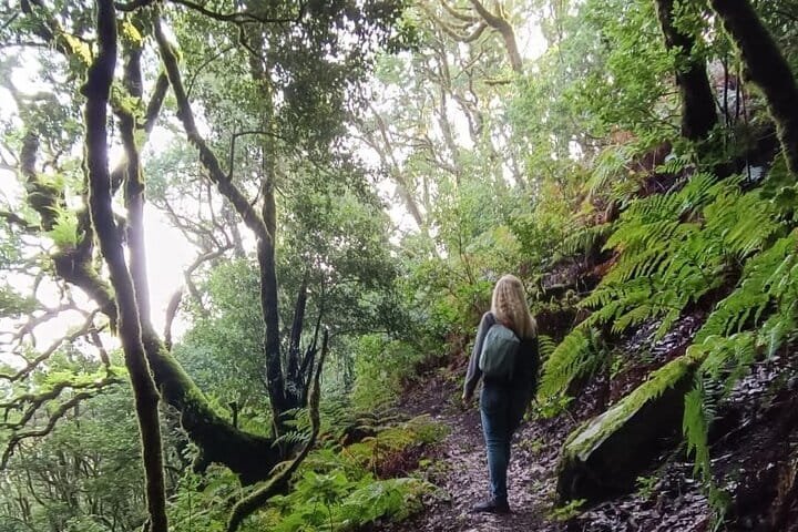 Caminando por el bosque encantado