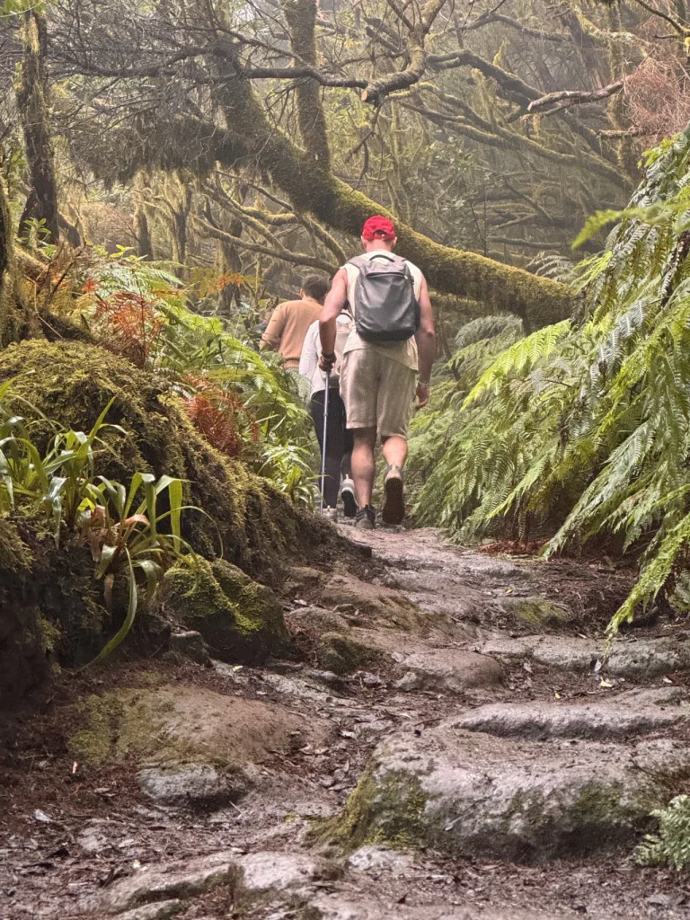 Senderistas con mochila caminando por un sendero de piedra en el bosque de laurisilva de Anaga